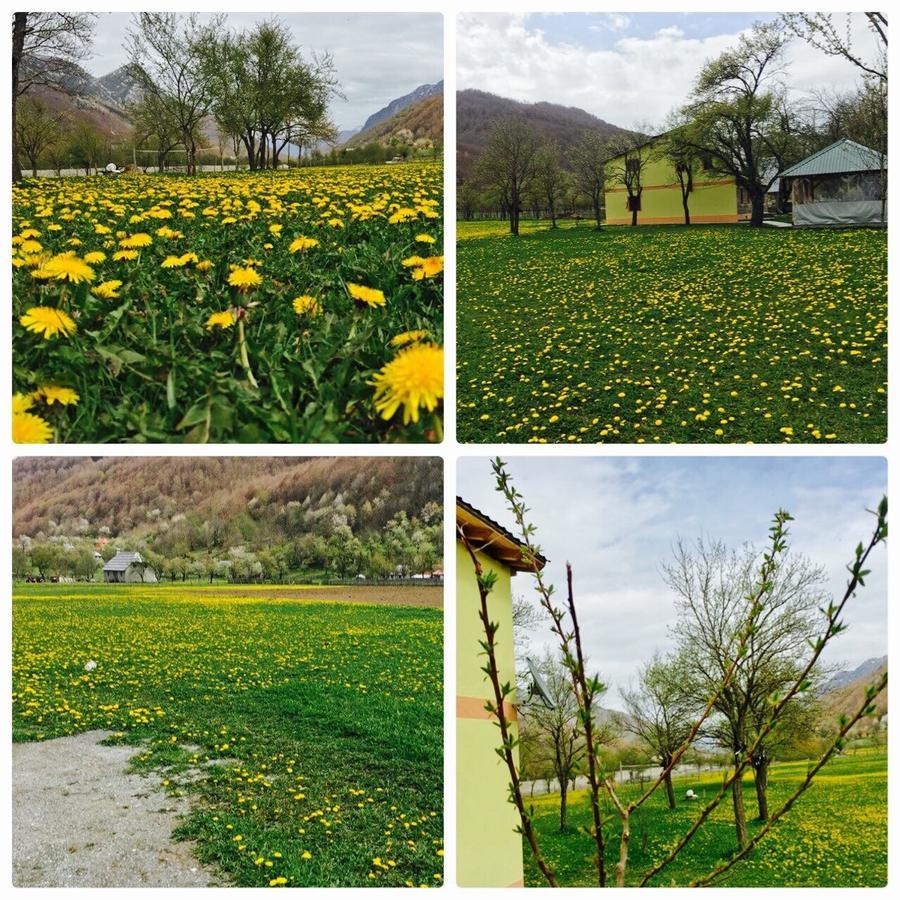 Peraj Guesthouse Vermosh Bagian luar foto