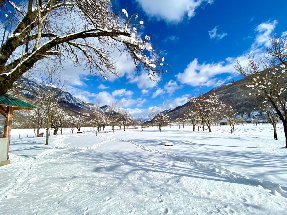 Peraj Guesthouse Vermosh Bagian luar foto