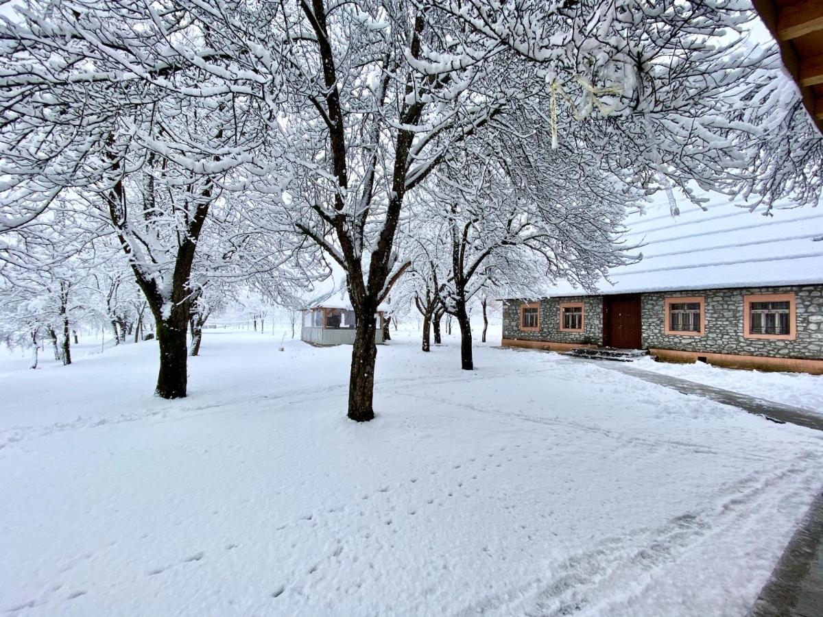 Peraj Guesthouse Vermosh Bagian luar foto